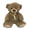 Fungsi Pendidikan 11,8 Inch LED Mainan Mewah Boneka Beruang Boneka
