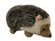 Ringan 0.15m 0.49ft Big Hedgehog Ramah Lingkungan Boneka Binatang