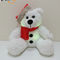 Xmas LED Lighting Plush Bear Dengan Santa Hat Kids Gift LED Bear Kids Plush Toy