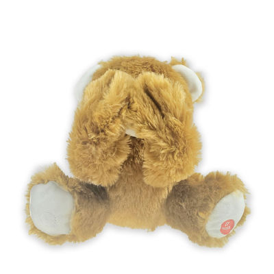 Peek A Boo Educational Plush Toys Stuffed Animal Dengan Rekaman Suara 20cm 7.87in