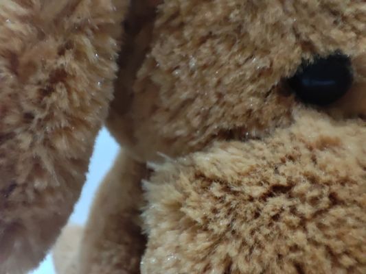 Mainan Anjing Bisa Dipanaskan di Boneka Pemanas Mikrowave