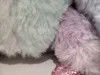 Rekaman & Mengulangi Tie Dye Sloth Berwarna Cerah Plush Toy Sloth yang Bisa Bicara