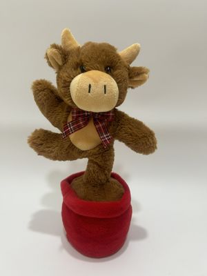 Singing & Dancing Highland sapi