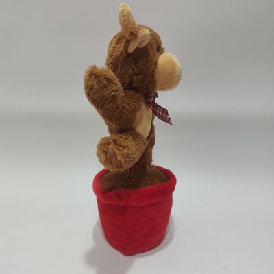 Singing & Dancing Highland sapi